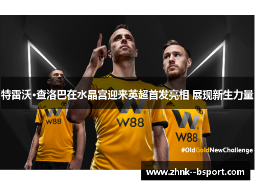 特雷沃·查洛巴在水晶宫迎来英超首发亮相 展现新生力量